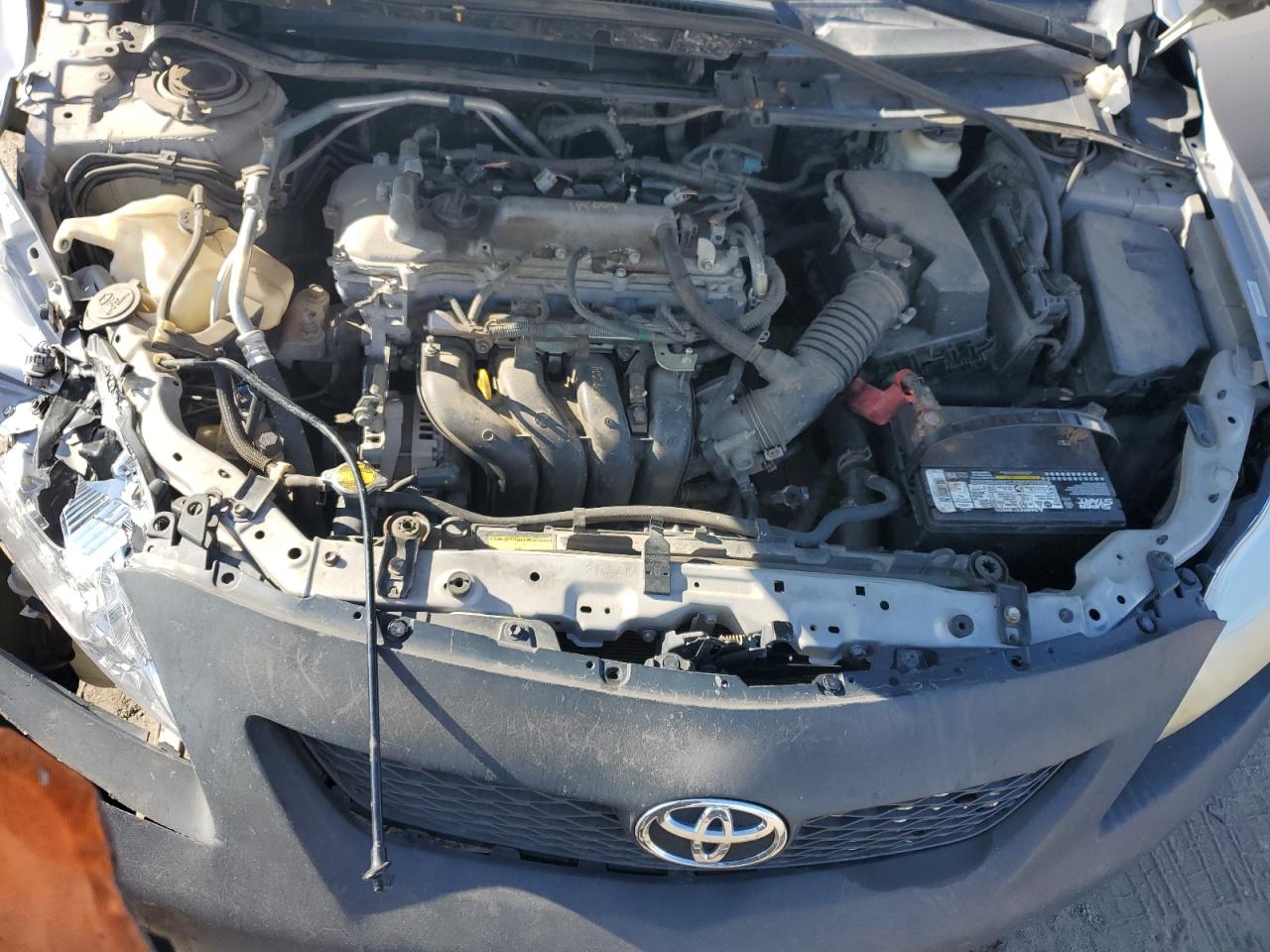 Lot #3259729188 2009 TOYOTA COROLLA BA