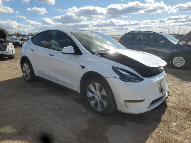 2024 TESLA MODEL Y #3282505886