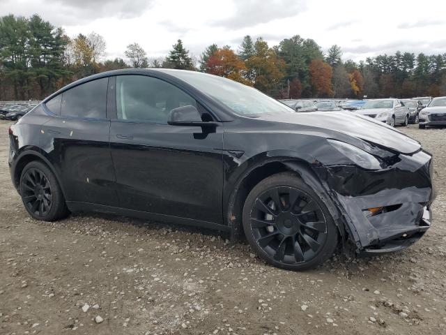 2023 TESLA MODEL Y #3296228434