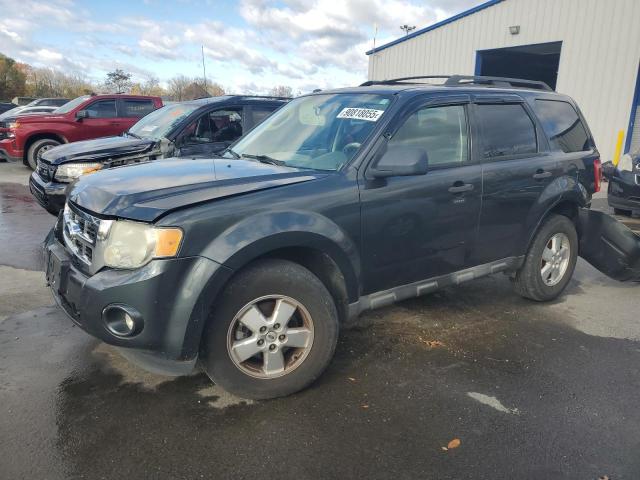 Global Auto Auctions: 2009 FORD ESCAPE XLT