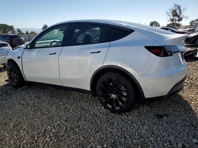 2023 TESLA MODEL Y - 7SAYGDEE6PF589144