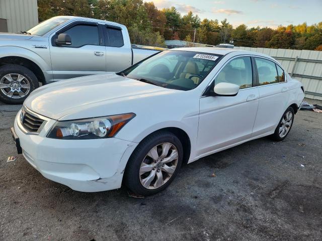 Global Auto Auctions: 2010 HONDA ACCORD EXL