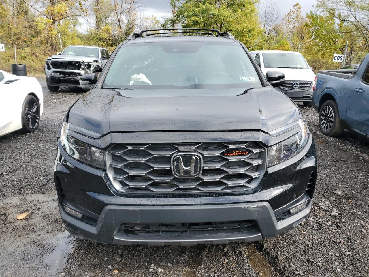 HONDA PASSPORT TRAIL SPORT