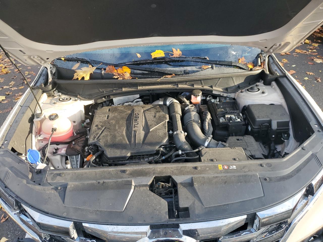 HYUNDAI SANTA CRUZ LIMITED