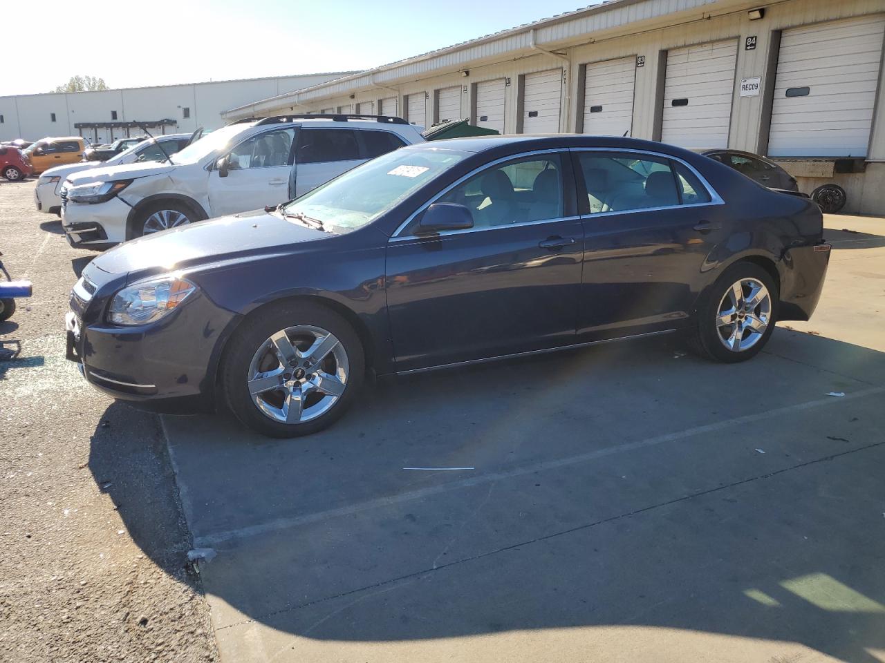 CHEVROLET MALIBU 1LT
