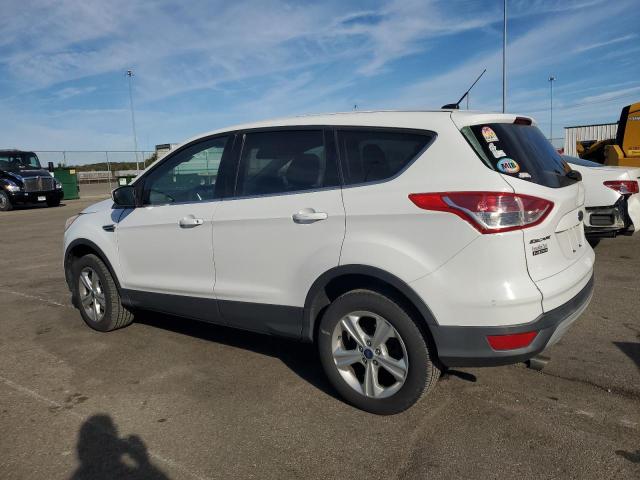 2014 FORD ESCAPE SE - 1FMCU0GX2EUD85934