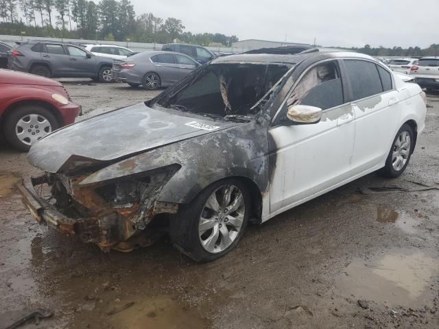 Global Auto Auctions: 2009 HONDA ACCORD EX