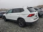 Lot #3294432502 2024 VOLKSWAGEN TIGUAN SE