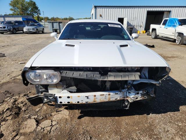 2013 DODGE CHALLENGER - 2C3CDYAG9DH515824