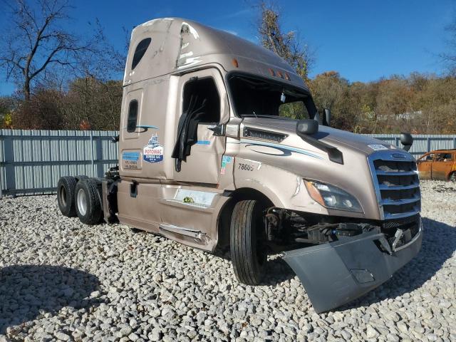 FREIGHTLINER CASCADIA 1