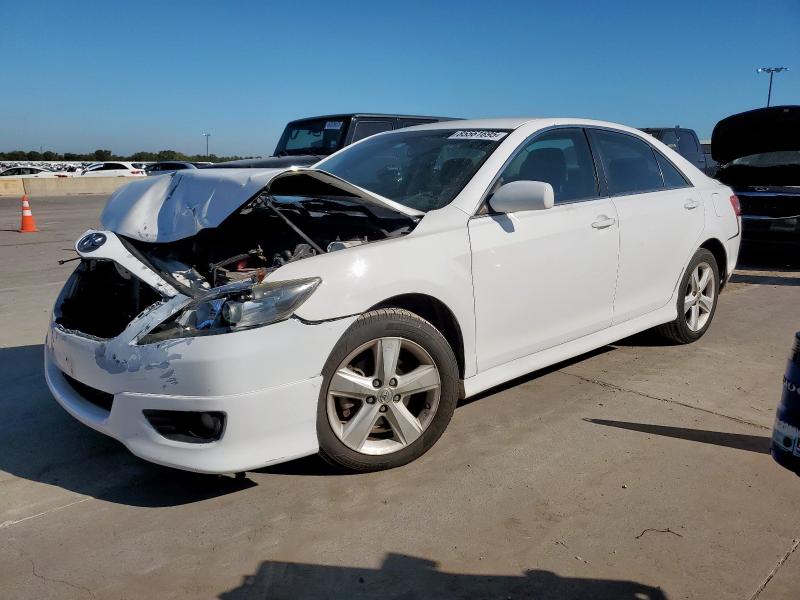 2010 TOYOTA CAMRY BASE - 4T1BF3EK4AU500719