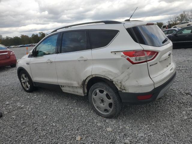 2014 FORD ESCAPE SE - 1FMCU0GX9EUD78558