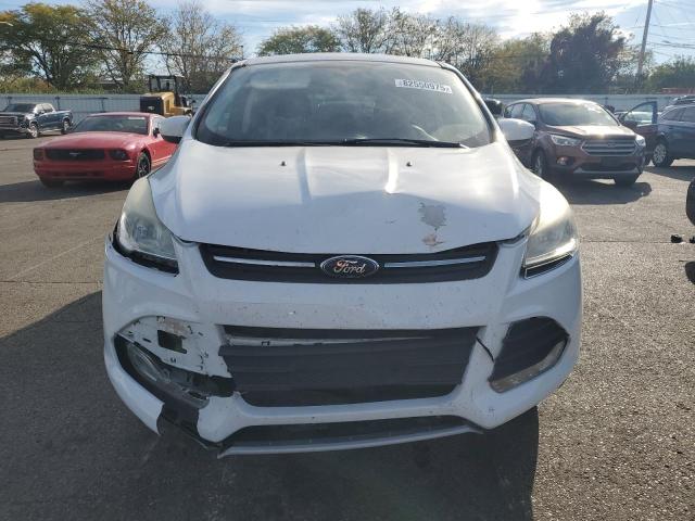 2014 FORD ESCAPE SE - 1FMCU0GX2EUD85934