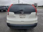 Lot #3296259445 2014 HONDA CR-V EXL