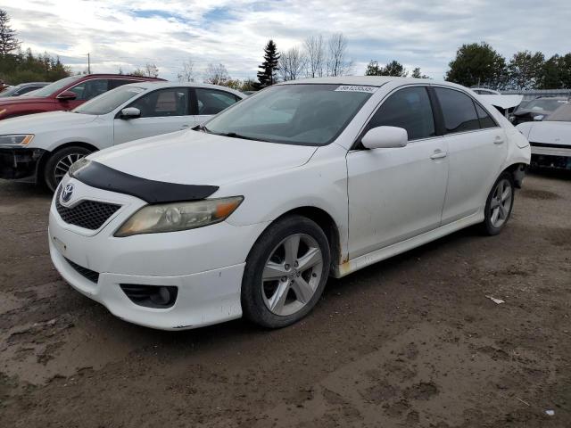 2010 TOYOTA CAMRY BASE - 4T1BF3EK9AU506970