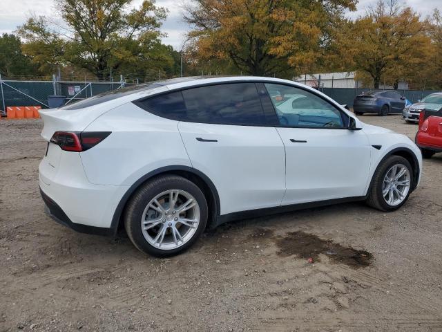 2021 TESLA MODEL Y - 5YJYGDEE7MF106303