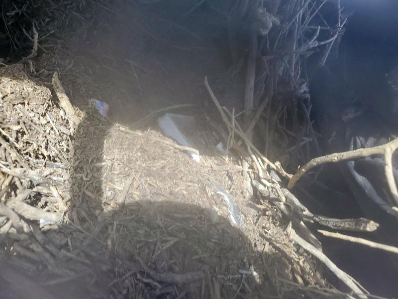 2019 NISSAN FRONTIER S #3297226401