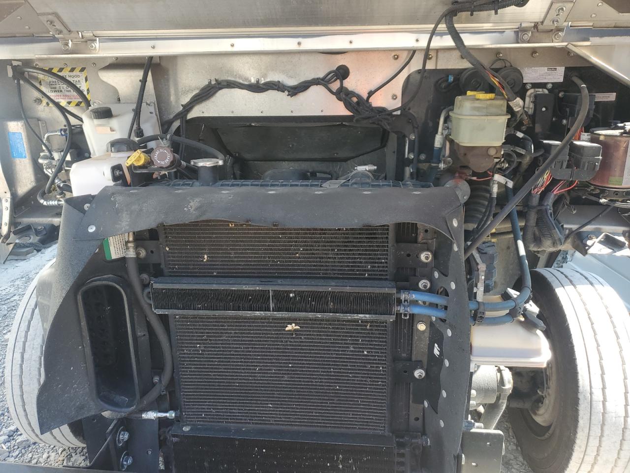 Lot #3293477465 2020 FREIGHTLINER CHASSIS M