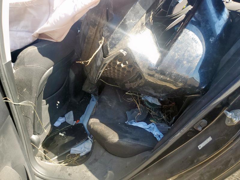 2014 HONDA ACCORD SPORT - 1HGCR2F59EA126023