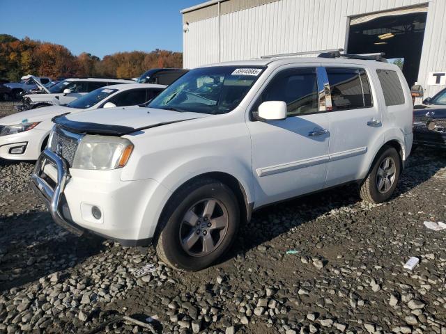 Global Auto Auctions: 2009 HONDA PILOT EX