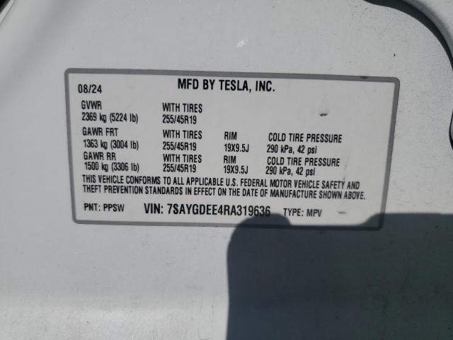 2024 TESLA MODEL Y #3298143287