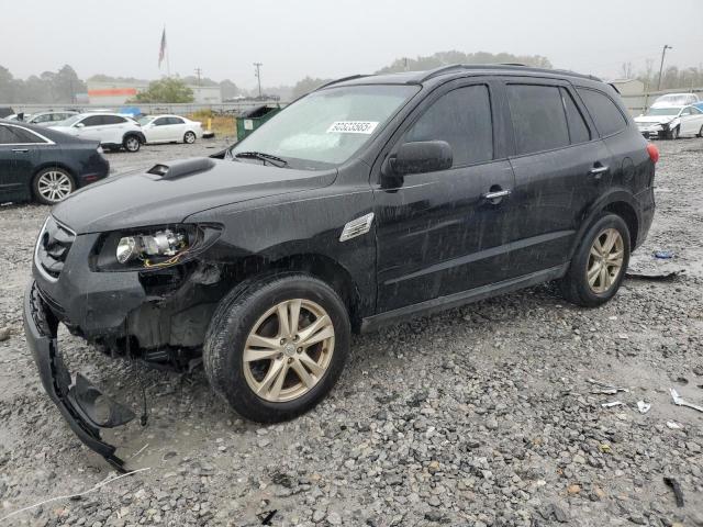 Global Auto Auctions: 2010 HYUNDAI SANTA FE L