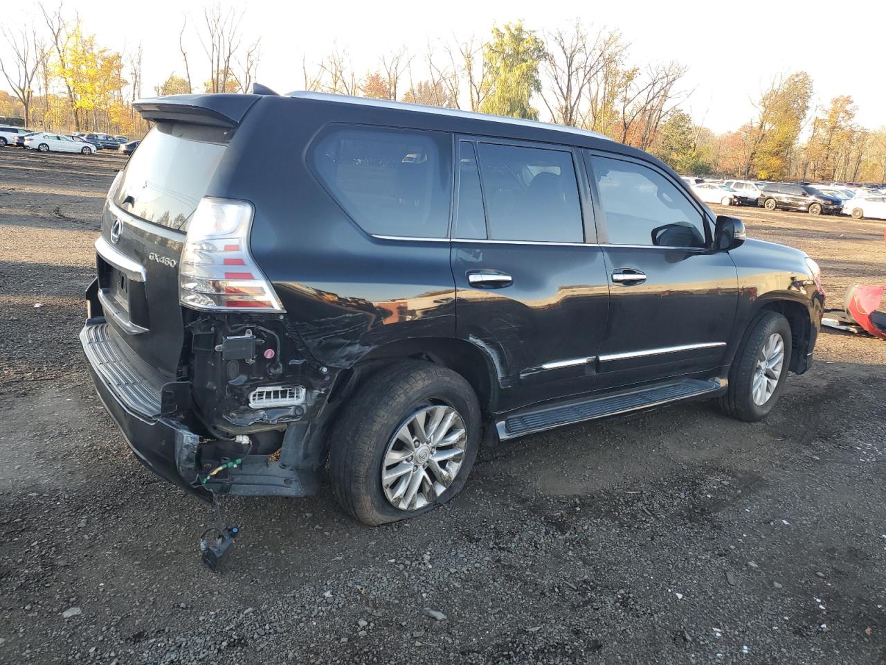 LEXUS GX 460