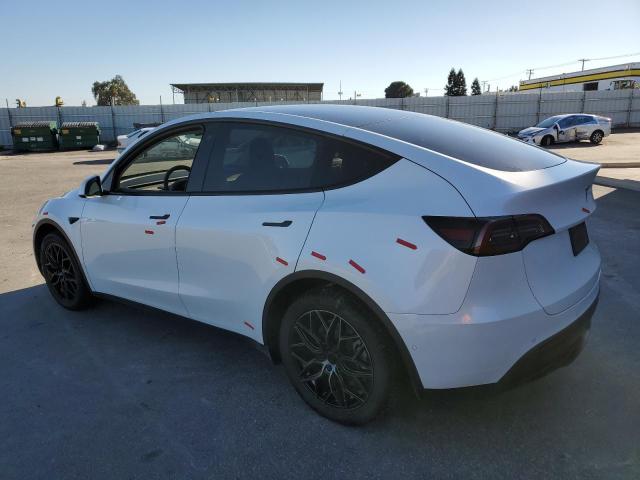 2021 TESLA MODEL Y 5YJYGDEEXMF297425