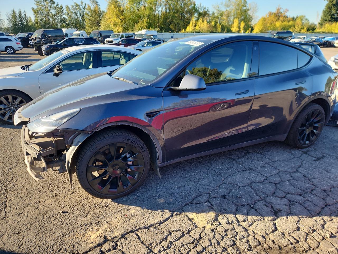 Lot #3284574348 2022 TESLA MODEL Y