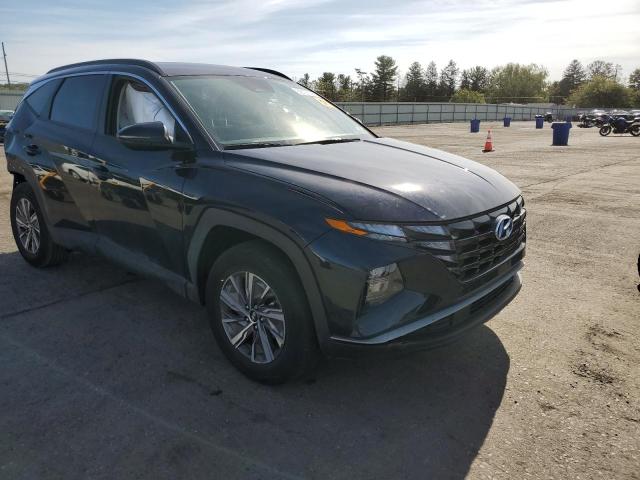 2022 HYUNDAI TUCSON BLUE KM8JBCA18NU082272