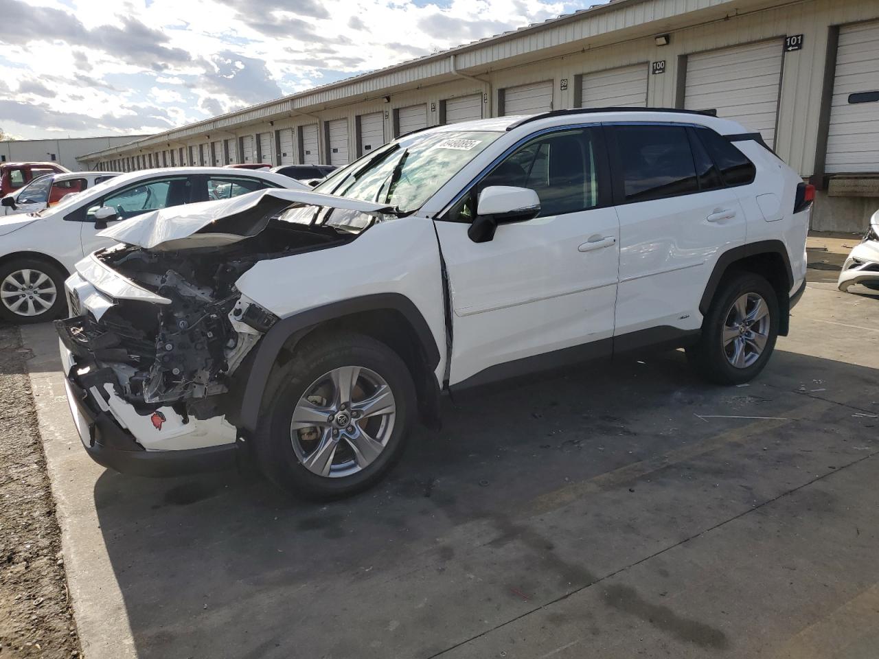 Lot #3269998981 2023 TOYOTA RAV4 XLE