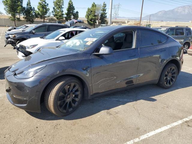 Global Auto Auctions: 2025 TESLA MODEL Y