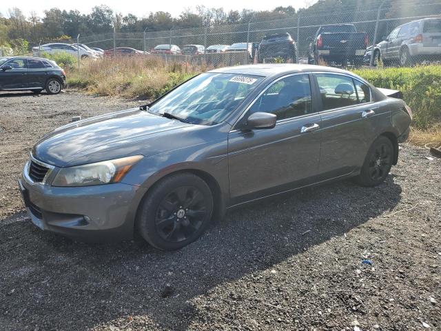 Global Auto Auctions: 2009 HONDA ACCORD EXL
