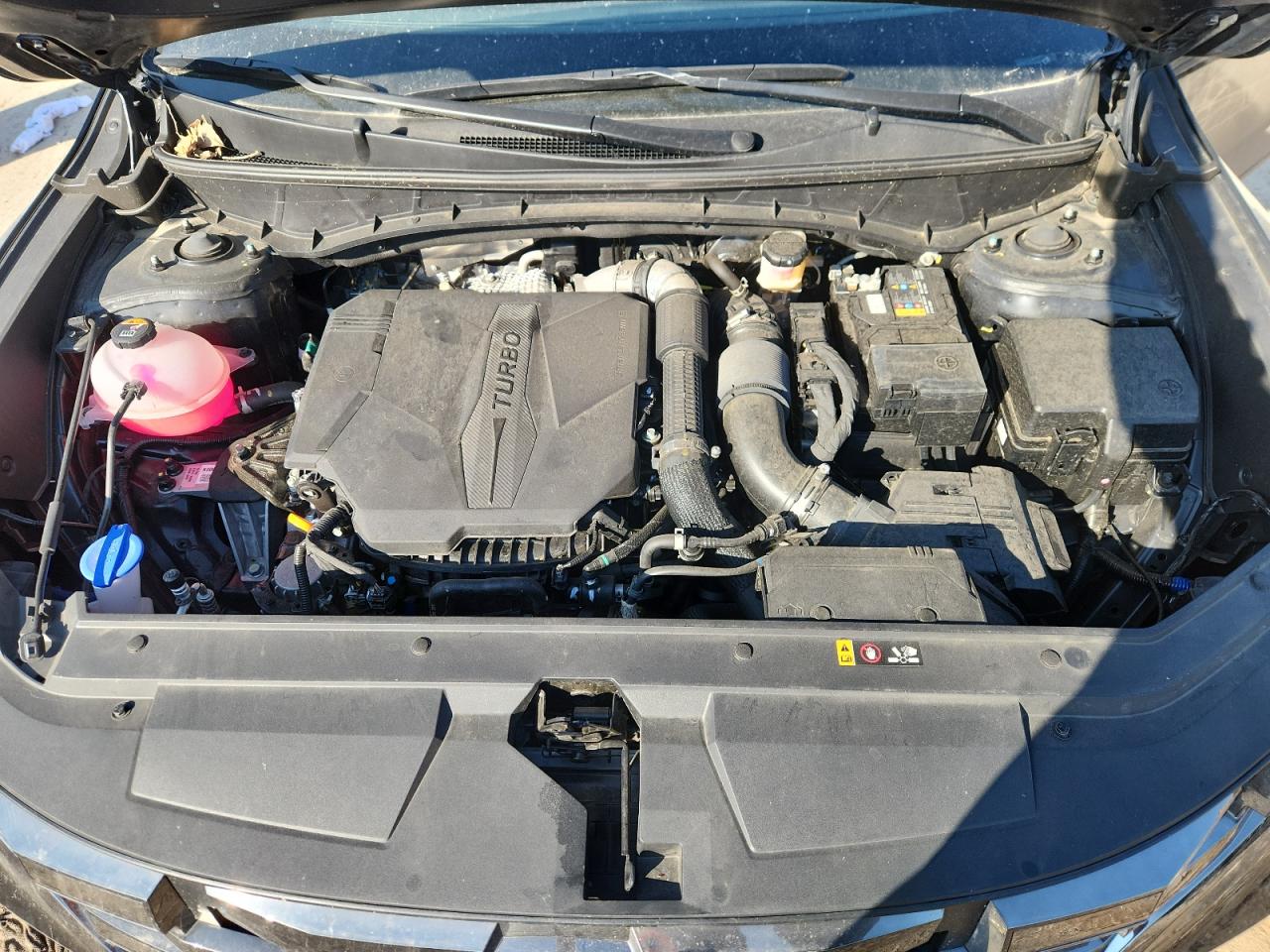 HYUNDAI SANTA CRUZ LIMITED