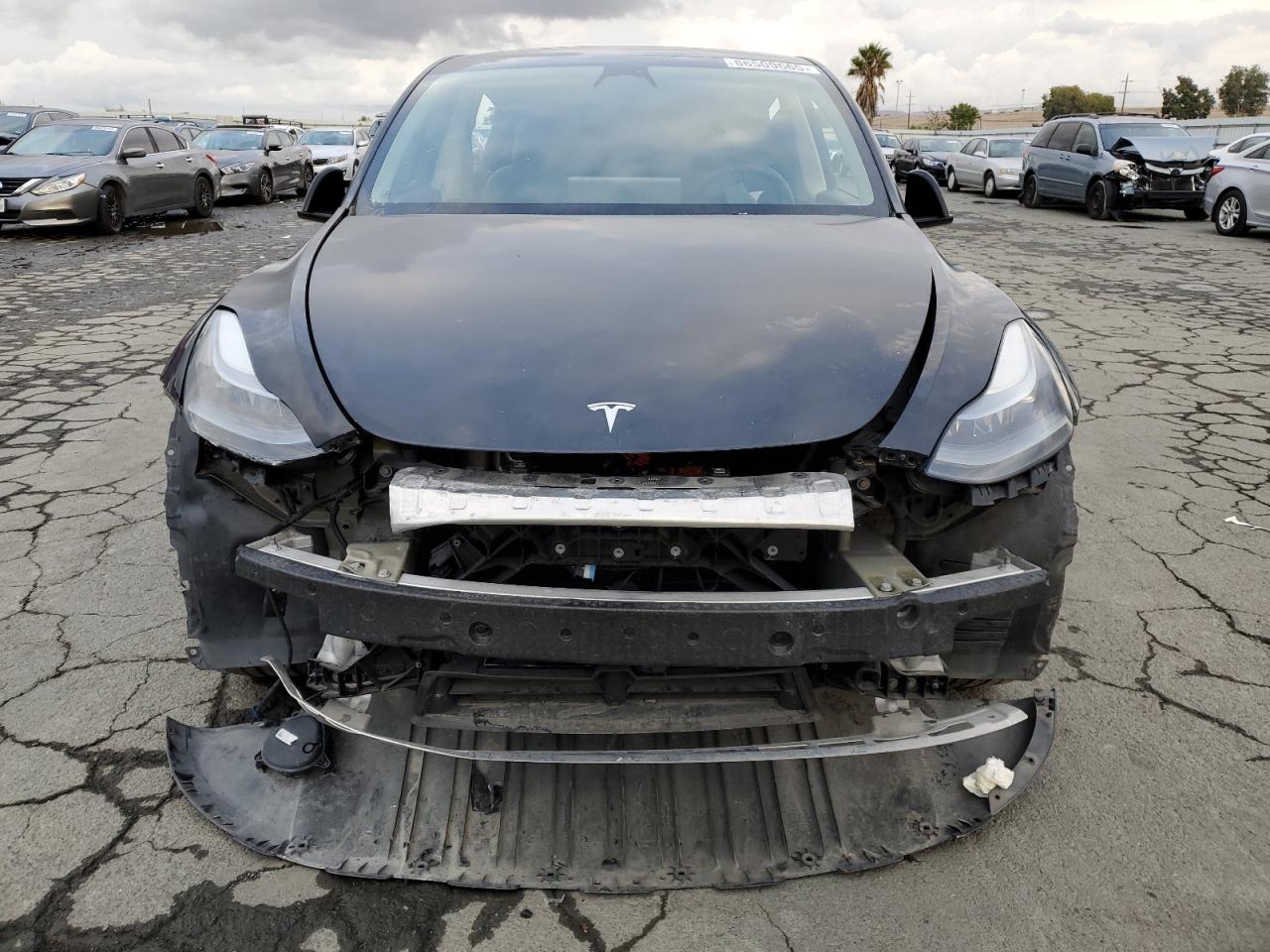 Lot #3302687043 2022 TESLA MODEL Y