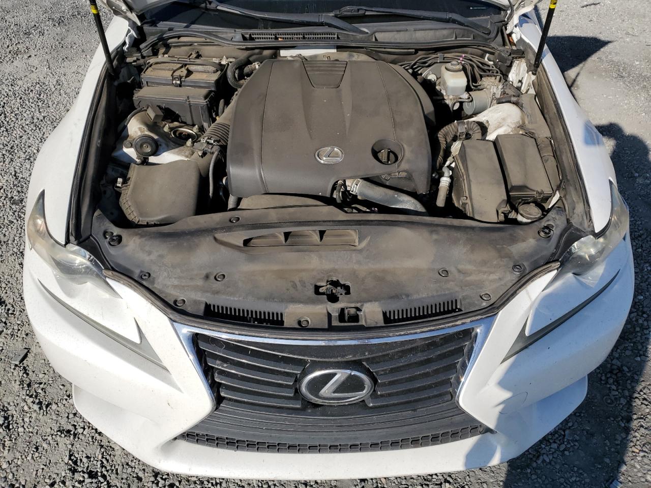 LEXUS IS 250