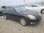 Lot #3294392529 2004 NISSAN MAXIMA SE