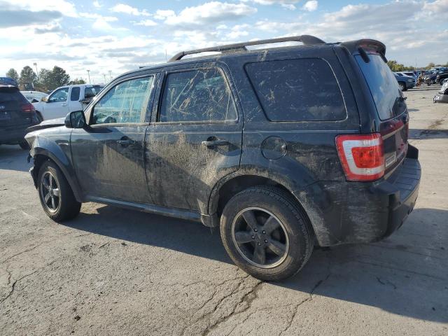 2011 FORD ESCAPE XLT #3292451706