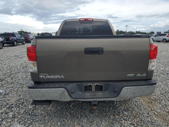 2010 TOYOTA TUNDRA DOUBLE CAB SR5 - 5TFUW5F14AX154863