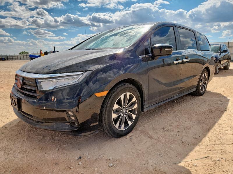 2024 HONDA ODYSSEY EX - 5FNRL6H65RB063765