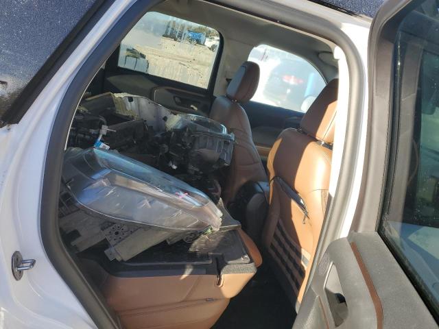 2023 FORD BRONCO SPO #3287669028