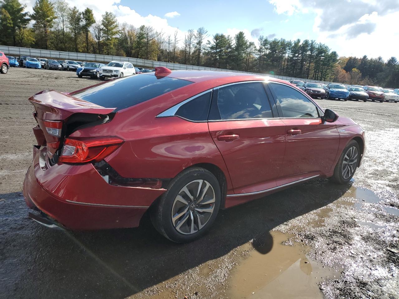 Lot #3301801379 2019 HONDA ACCORD HYB