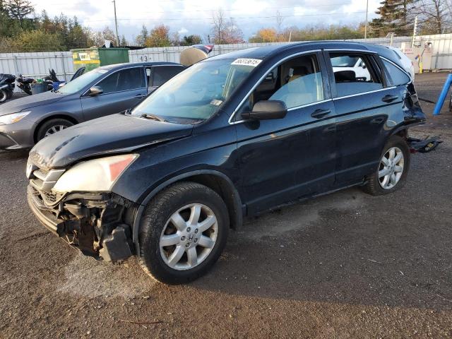 2010 HONDA CR-V LX - 5J6RE3H38AL801343