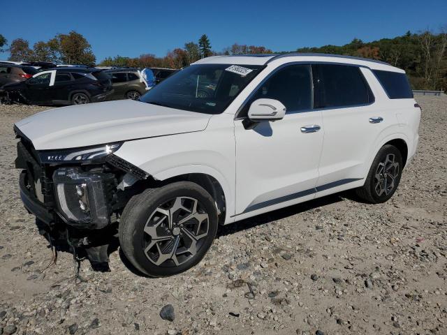 HYUNDAI PALISADE C