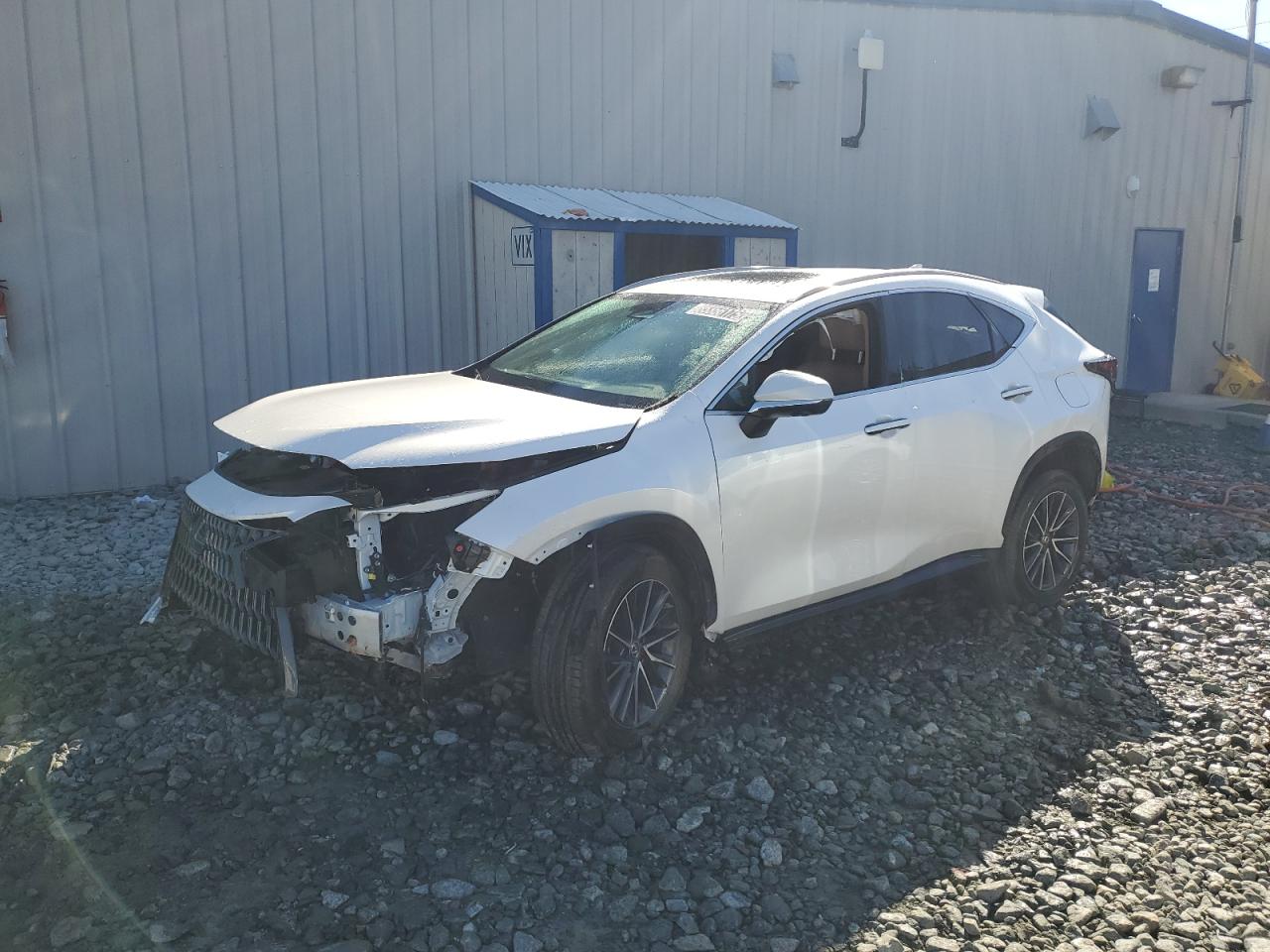 LEXUS NX 350H BASE
