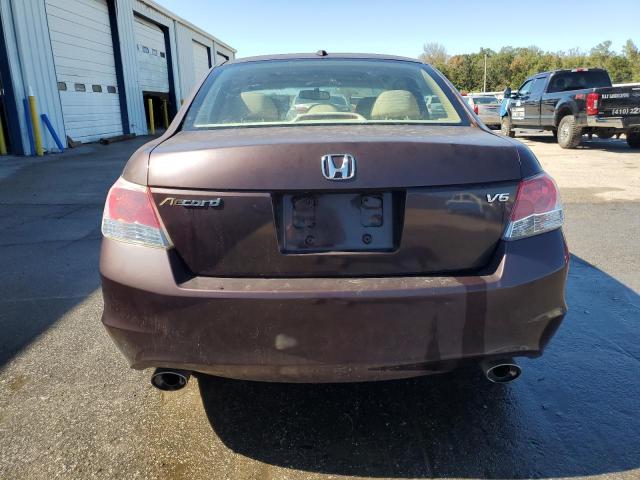 2010 HONDA ACCORD EXL - 5KBCP3F8XAB007436