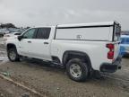 Lot #3303790420 2020 CHEVROLET SILVERADO