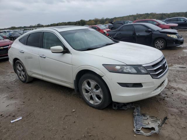 2010 HONDA ACCORD CRO - 5J6TF2H51AL013177