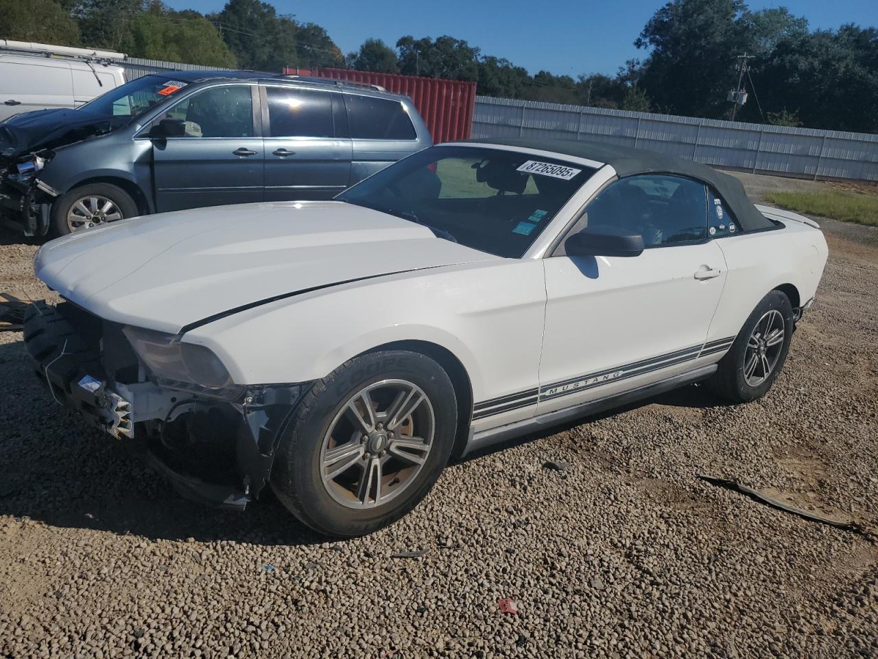 Lot #3270929418 2011 FORD MUSTANG