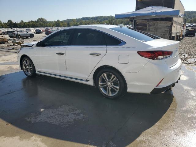2019 HYUNDAI SONATA LIM - 5NPE34AFXKH820308